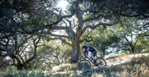 Marin Bikes Review