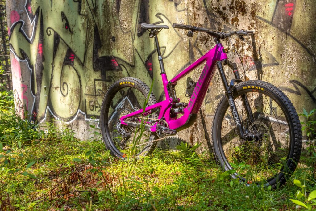Santa Cruz Heckler Review (2025)